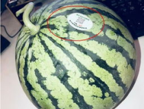 高邮网红吃瓜,揭秘网络红人的幕后故事