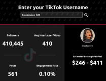 tiktok网红价,价格背后的秘密与趋势