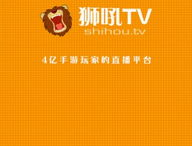 网红h阅读,揭秘网络红人的崛起之路