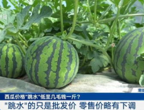 全国最大的吃瓜网,揭秘吃瓜网独家热闻大盘点